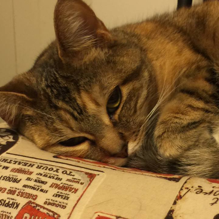 Ac51893c 8a1c 4340 a3d8 aafecd5a8790 1554044787186