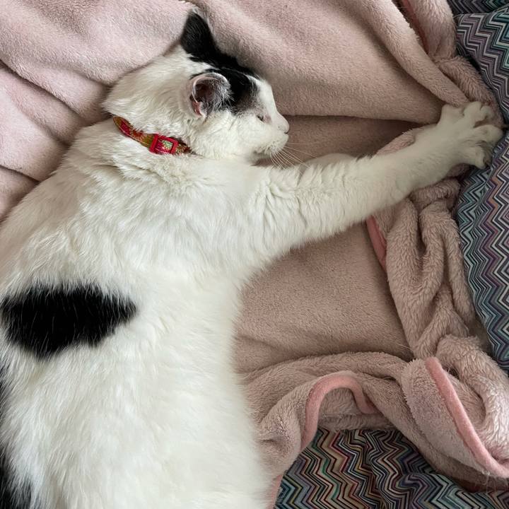 Ac518afe 9671 4584 81b4 131bf0d7f6f1 1618877980546