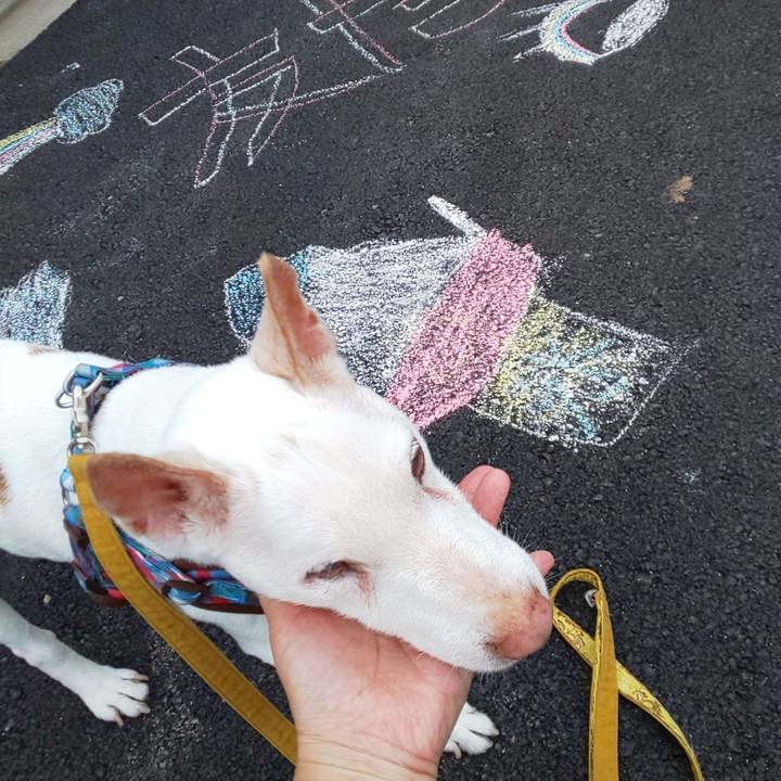 Ac51b1ac cbf8 4329 b7d3 3f261027b8d9 1563616649527