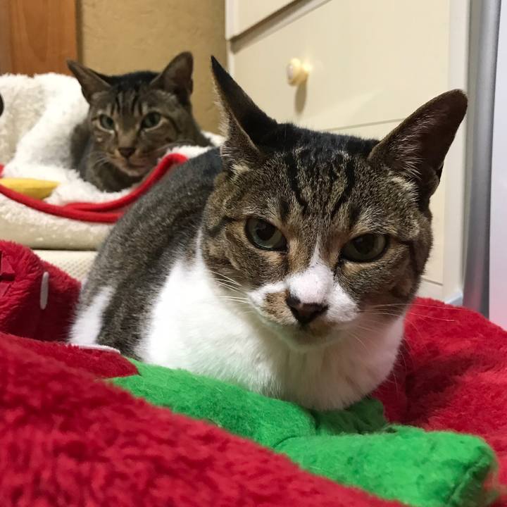 Ac521580 aa26 47d7 8818 480a112ae9a1 1524790655464