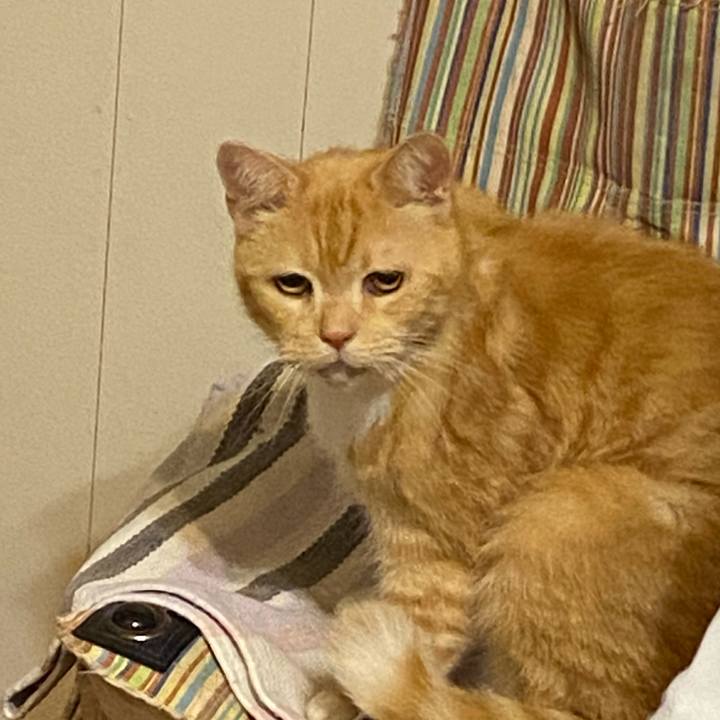 Ac5223b1 1491 47f8 b340 c9516f7d853b 1608735925958