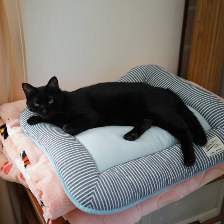 Ac5224b9 53a9 427b 8ef5 e4b549dad8a8 1538437156251