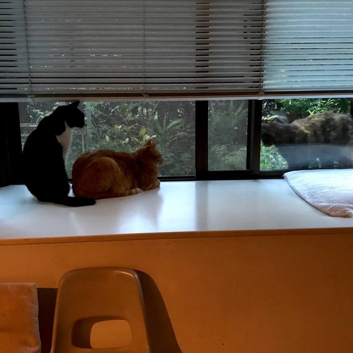 Ac523f9d cc5f 402f a94b f4bce434fedd 1530094042235