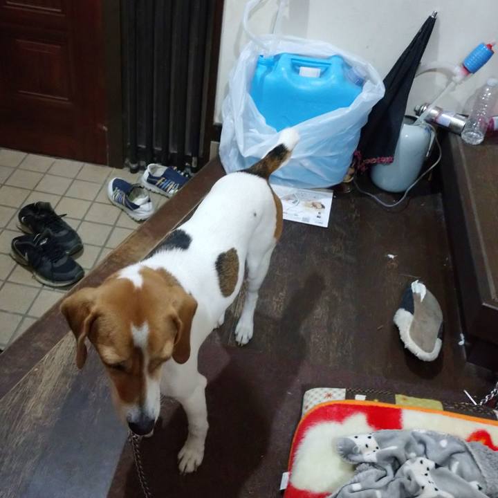 Ac5286af c39e 441f 8196 13ce4d51d854 1580899253661