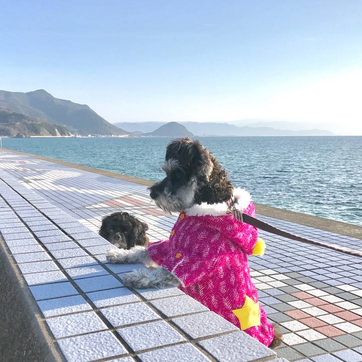 Ac528e68 93a2 4b25 b42c 00aea1c6c2cd 1549973171529