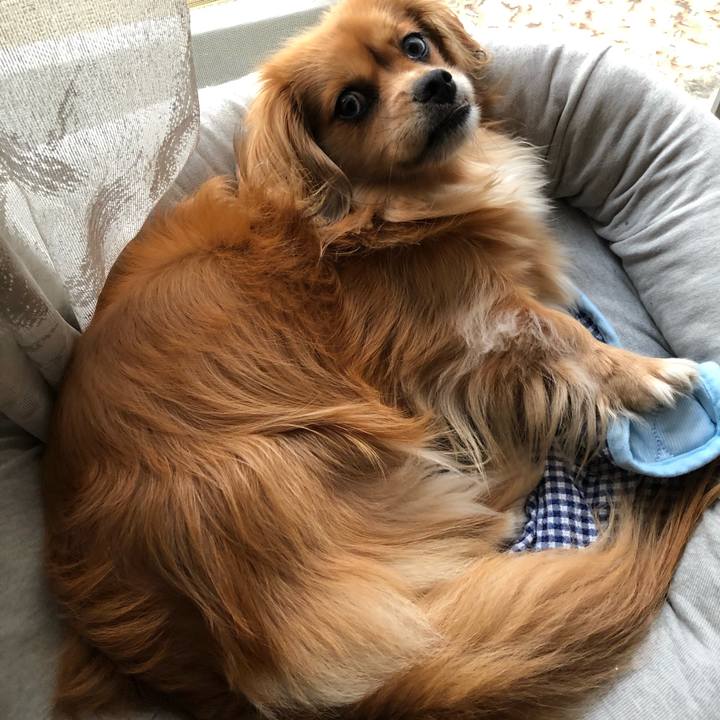 Ac529acd 98db 4cff aab6 fa4f3d03893b 1566857645139