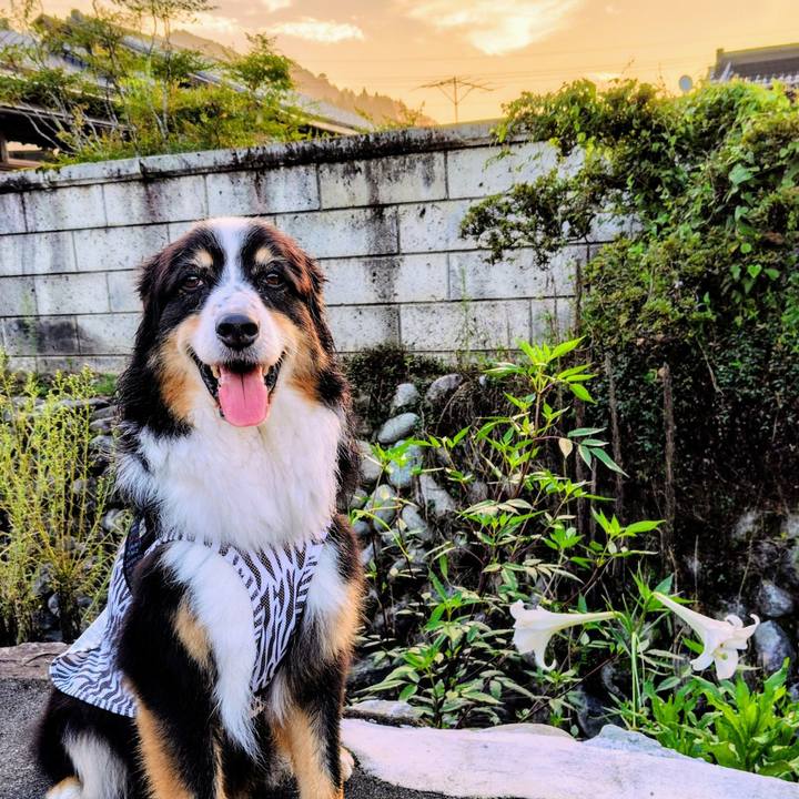 Ac52f466 652a 4711 85ef a9956fec8c72 1755948537305