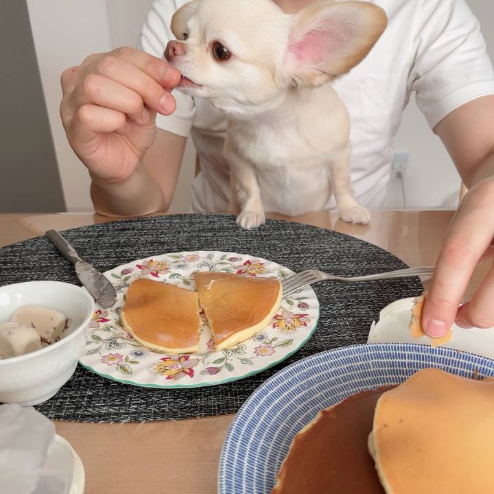 Ac52fdc0 c234 40f5 82cc 9918797e66c1 1722674119952