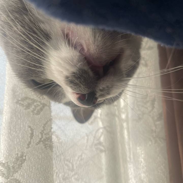 Ac530e06 f0b2 402c 8b05 6f044b04e603 1698882082618