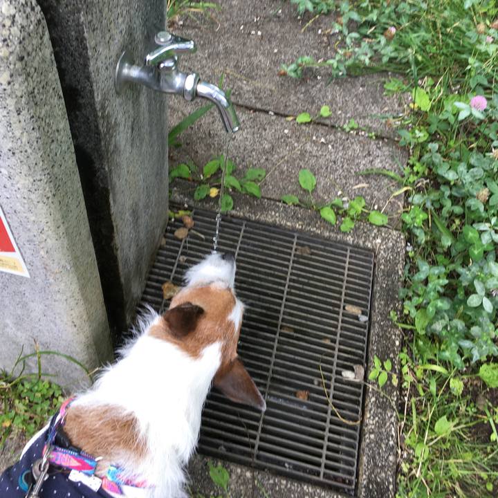 Ac531198 7922 4205 a9b5 12a15b5a0ea6 1656115082529