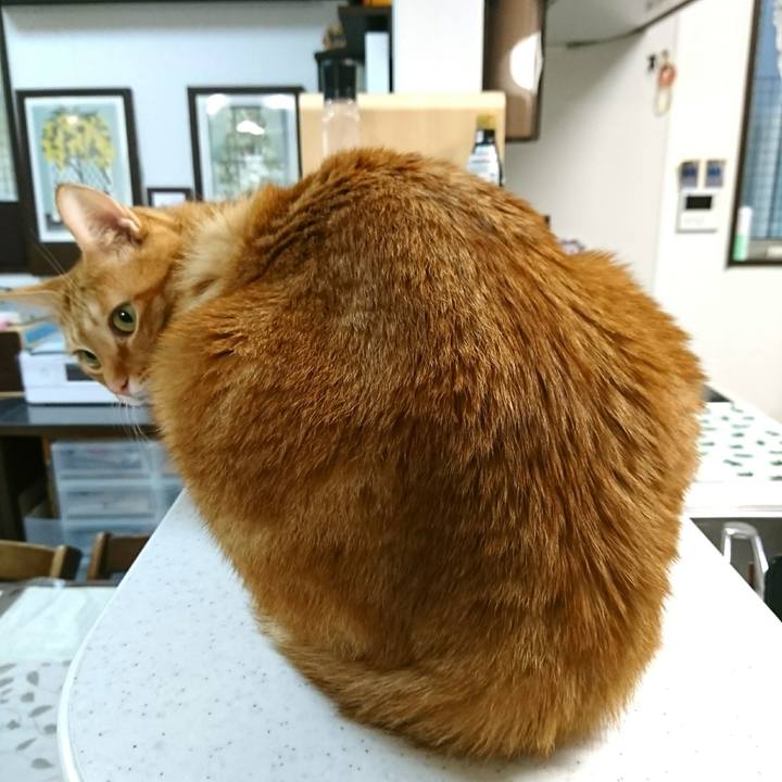 Ac534e7e 9eff 4791 98eb 5a9635853540 1539558937356