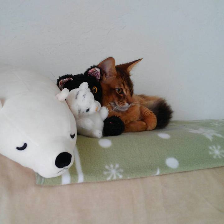 Ac537921 9649 49ff bfe5 cd611f7ca73c 1582242064844