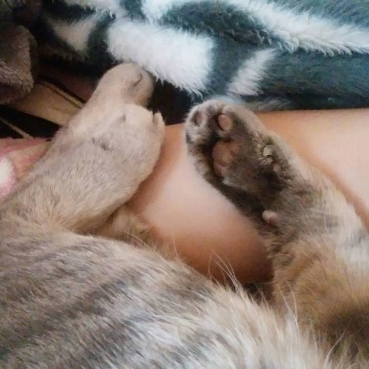 Ac537b7f 9276 4117 8f00 0a2847c178b7 1522901438354