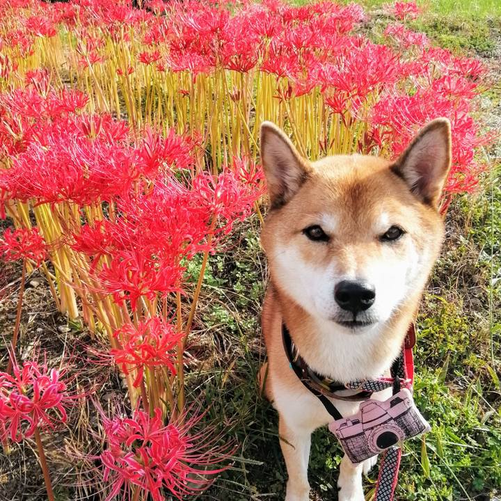 Ac53afc5 125c 409e 9ce8 4283411d56df 1601681937931