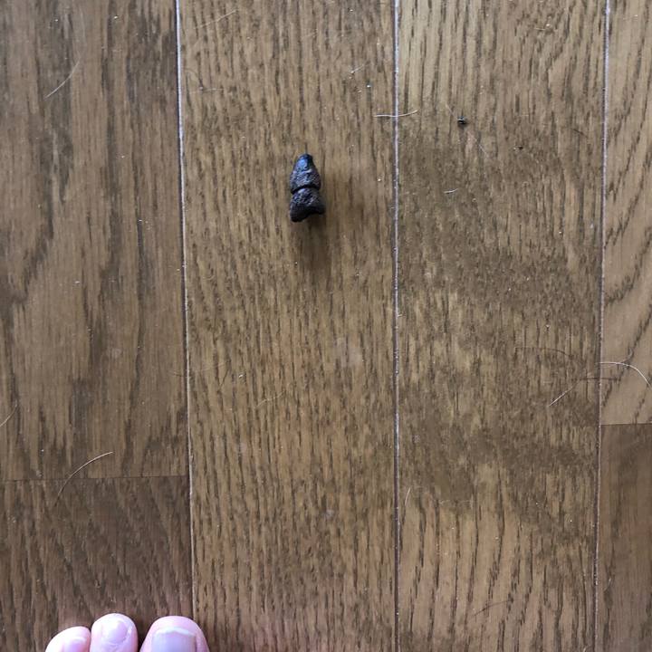 Ac53d9f2 a358 4d27 bc03 e30b8df32a2c 1558341541964