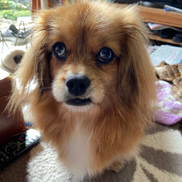 Ac53e6bc 515e 4d7f a8ac e342083d87af 1580007558229