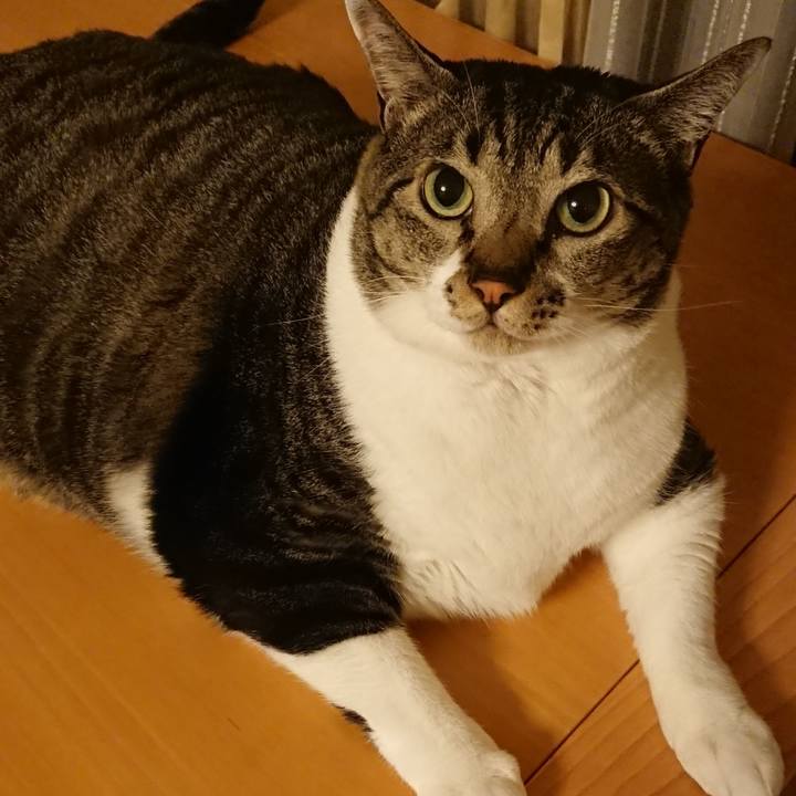 Ac53e8a9 4dac 469e 8da3 6dda3730e9b0 1533036607147