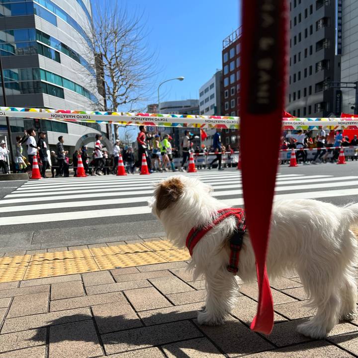 Ac53ebbf 987d 4c02 a642 1d54a59f2a99 1709465597591