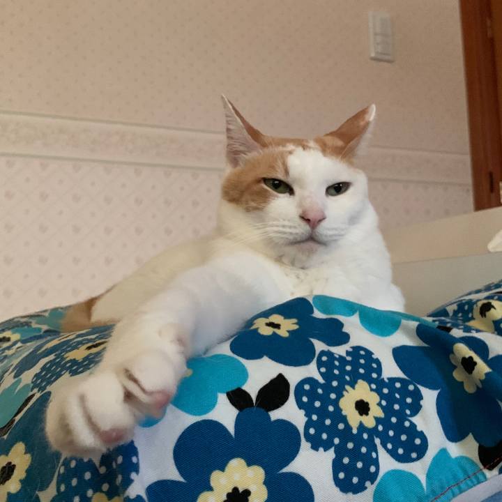 Ac53f562 0ce9 4140 aa29 d2c64257caa8 1657012782818