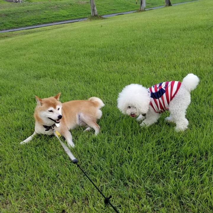 Ac5435c0 e879 499b a824 558ce3a83d29 1627634465226