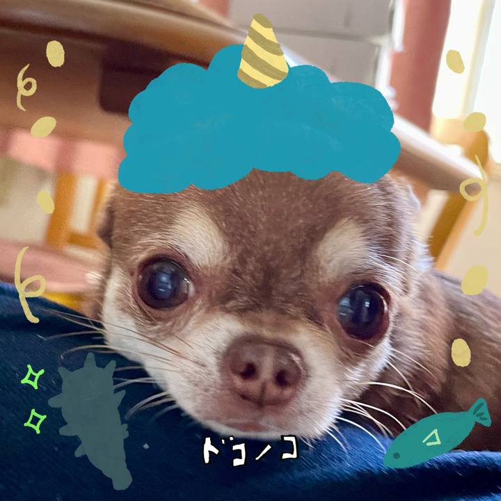 Ac545750 726b 4cd8 a1cc 0168c6e3682a 1706756622121