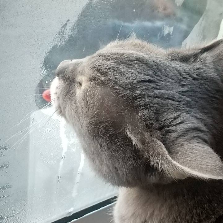 Ac548e8c 2eab 47dd a861 b822b23c8057 1671922763157