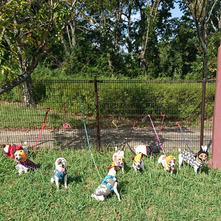 Ac54a3c7 503c 498e a4d2 c93e65bd9c03 1570337351715