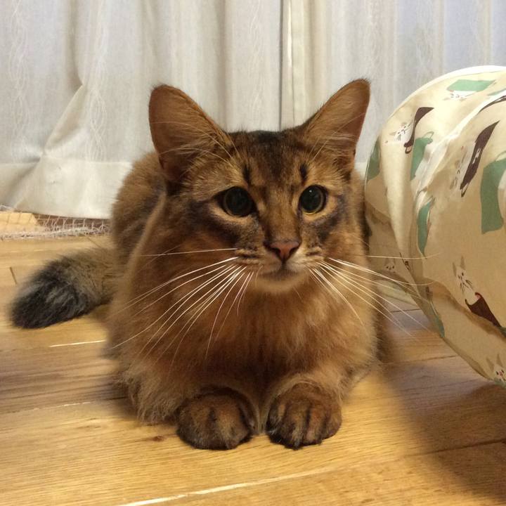 Ac54a8bc fede 4331 add5 b7b283ec6b0b 1599528356986