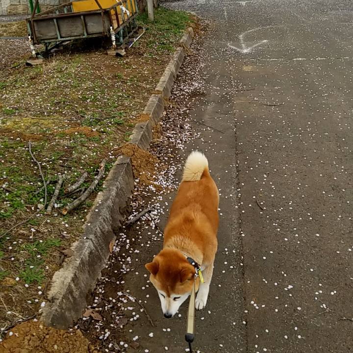 Ac54b767 95a2 4690 8347 47d4573538b4 1650513758201