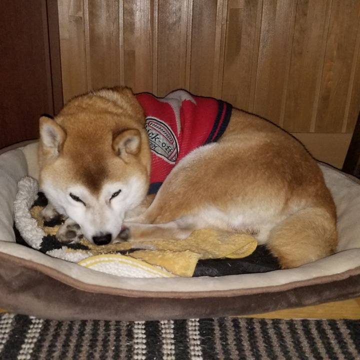 Ac554189 5aaf 41b0 a2e2 82026b0e028d 1606651877946