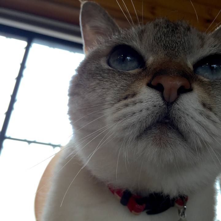 Ac554d65 fcb7 4e65 b553 661b71cc5963 1530928408187