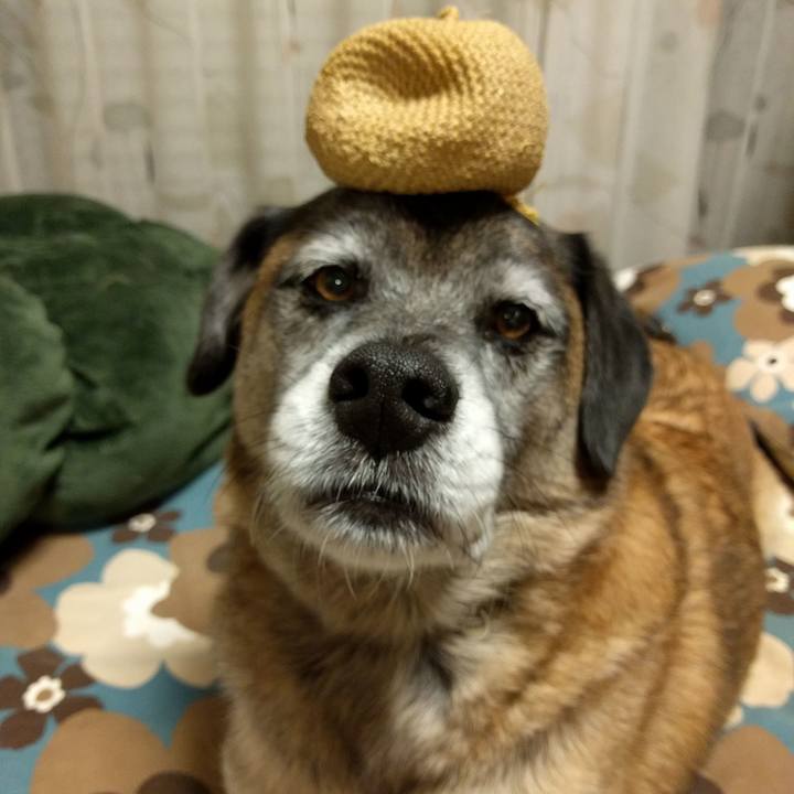 Ac5552e1 02c0 46d7 8eea 0cc5bac2419c 1706403688571