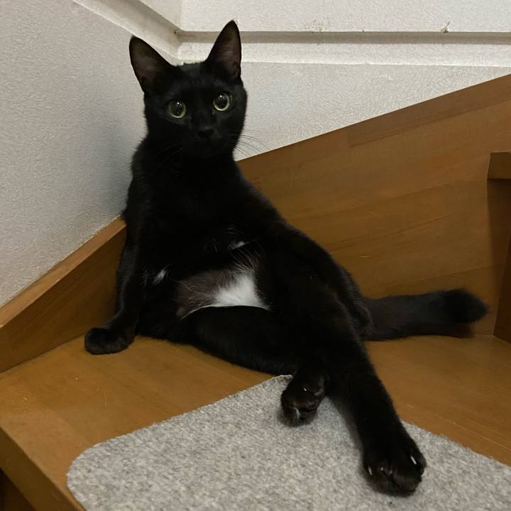 Ac558343 722a 4654 bcbf 306fe3658574 1669636464196