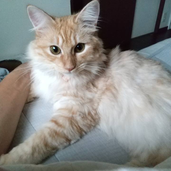 Ac55b6fd 37f6 4386 a73d 699dd58654e7 1627509499419