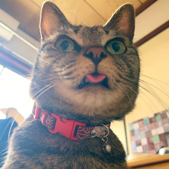 Ac560953 80df 4157 80d3 4f7d27c9709c 1579584254234