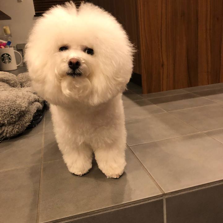 Ac56193f 3e04 4a86 b4e4 cdfa74eefb25 1518515040733