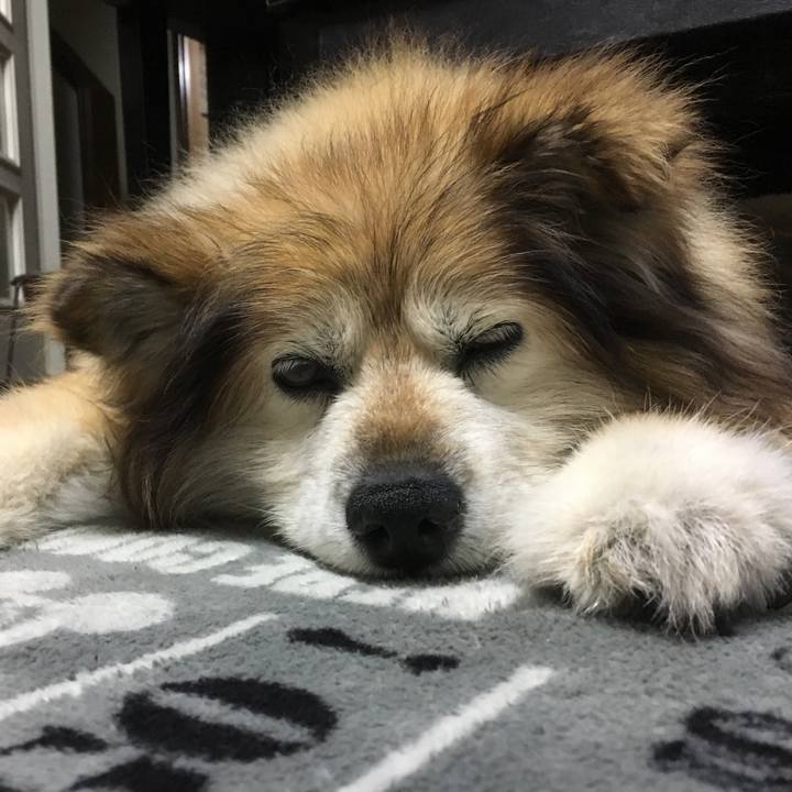 Ac5624cf a095 4858 b715 6be628df2201 1549364386788