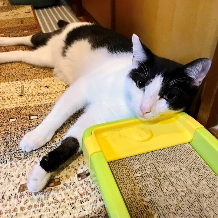 Ac563d0f 5745 4e8b 9c04 0b253856f824 1508335919618