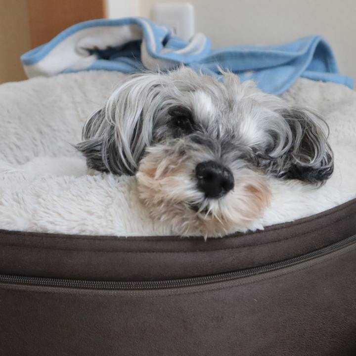 Ac566ae0 fc08 486b 8815 606704a2ed16 1761786070321