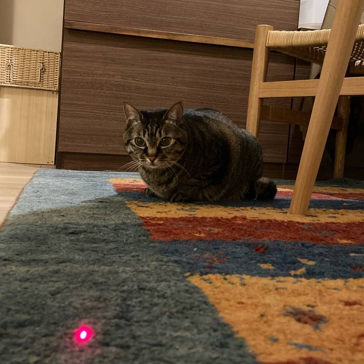 Ac5680d6 b32f 4771 b029 fee4cc7cad13 1642081876994