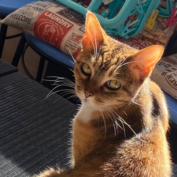 Ac568c00 78f8 405f bfd1 c005d57e2aa1 1579488488847