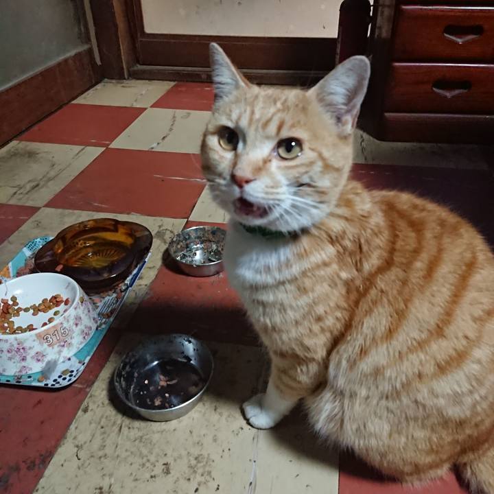 Ac56b3e8 4fe7 4bde b3ae 1c30aecb87e4 1585820745455