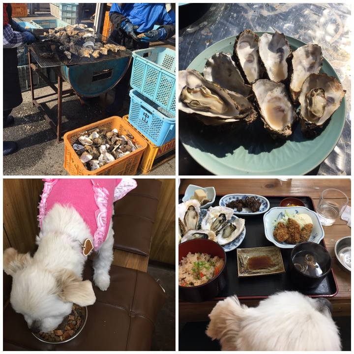 Ac56b3fd 0f8a 4106 81a2 99d71e53545b 1547871551669