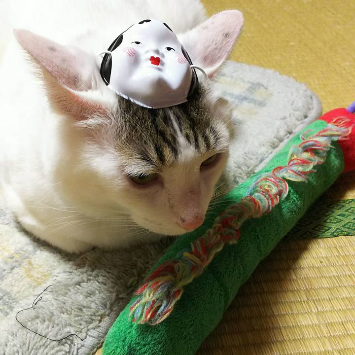 Ac56e6e5 726a 4eb2 a2aa be0cc7298d9a 1517745259202