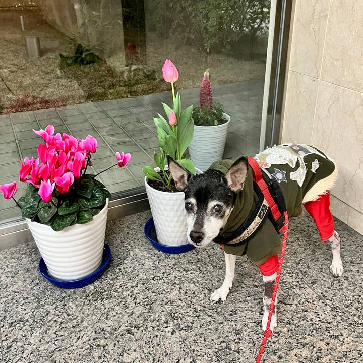 Ac56fc86 6a69 41c3 87b6 364aecef1648 1644270172024