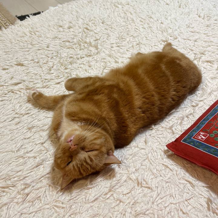 Ac56fc92 1307 4d5a aeb9 7521bf3146d7 1662981368096