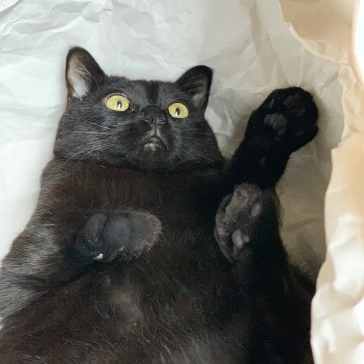 Ac5744d7 36b9 4abd 9867 c1eaab24cf1e 1561857610824