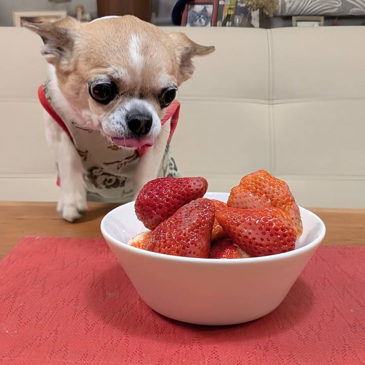 Ac576d37 a206 4d44 bf08 0511c6d11009 1743504887726