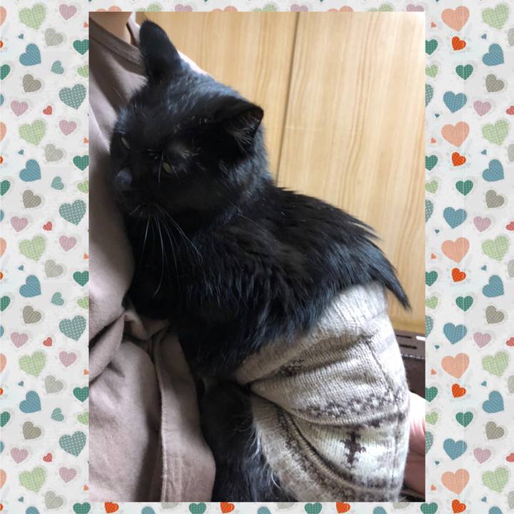 Ac577f3d e20b 4f96 a9d1 c173f22f3309 1604579883424