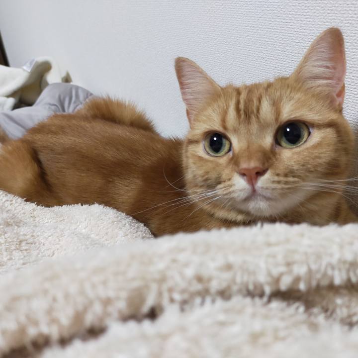 Ac579c0a 744c 4eb8 b524 6cc767856ad7 1600034762907